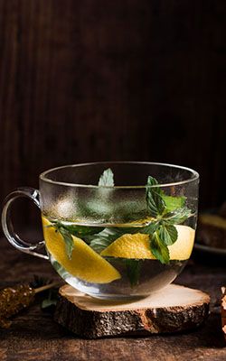 Mint & Lime 